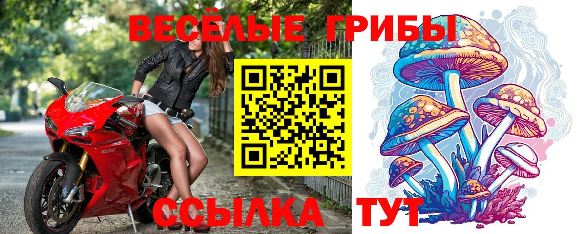 Псилоцибиновые грибы Psilocybe  Вход с VPN  Псилоцибиновые грибы GOLDEN TEACHER  закладка  Касимов 